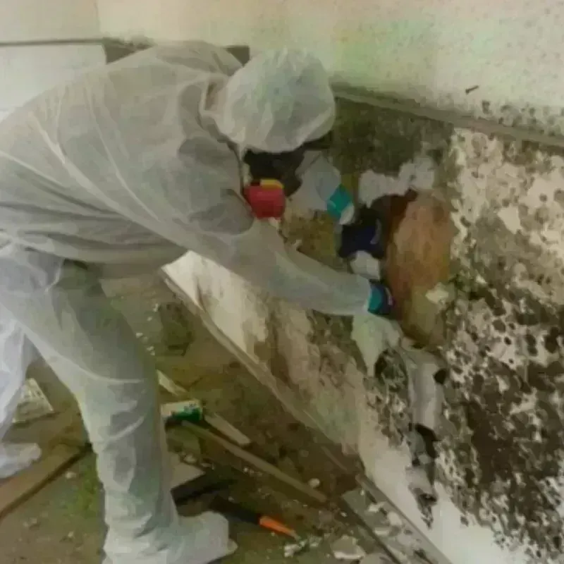 Mold Remediation and Removal in Carnegie, OK