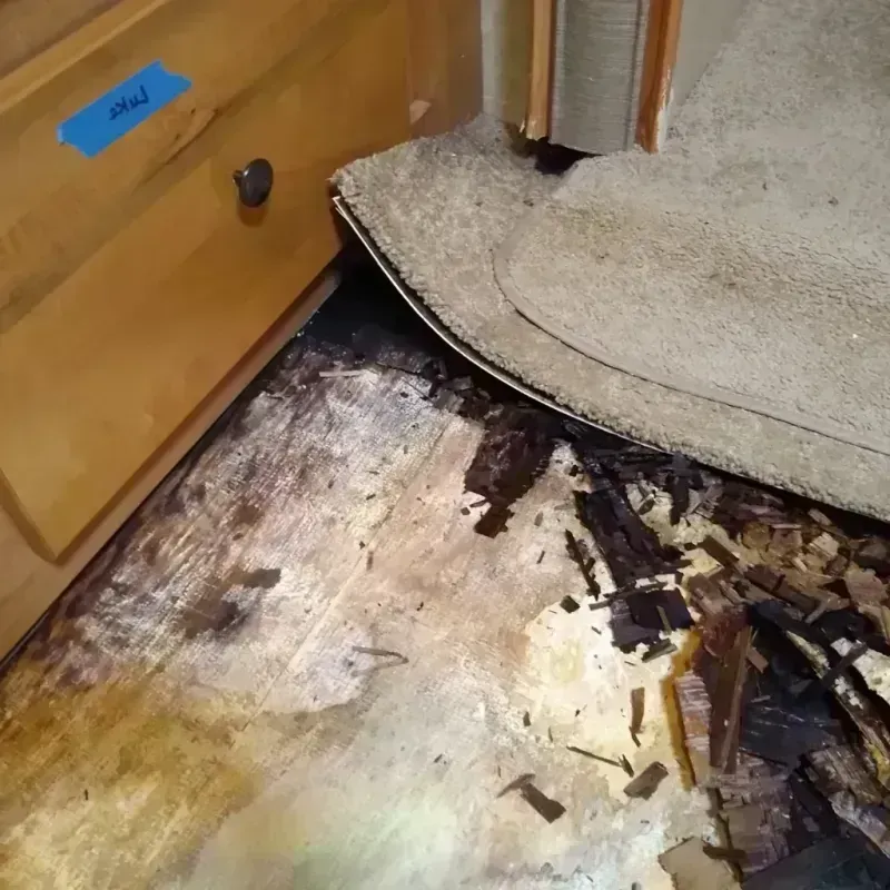 Wood Floor Water Damage in Carnegie, OK